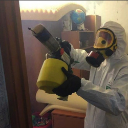 Уничтожение клопов в квартире. Асино